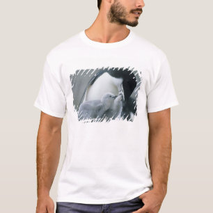 T-shirt Pinguins-de-barbicha, Pygoscelis antarctica),