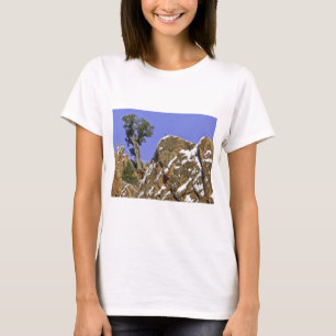 T-shirt Pinho de Bristlecone