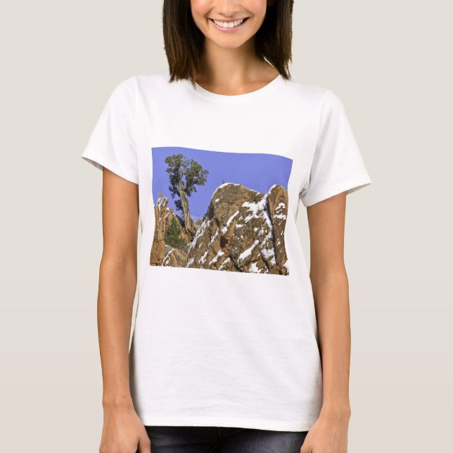 T-shirt Pinho de Bristlecone (Frente)