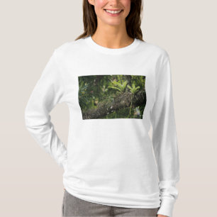 T-shirt Pinho Rosa, Bletia purpurea, florescendo em Manga