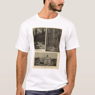 T-shirt Pinhos gigantes plaza da floresta de Oregon,