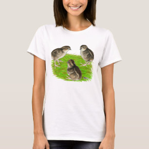 T-shirt Pintinhos Bobwhite Quail