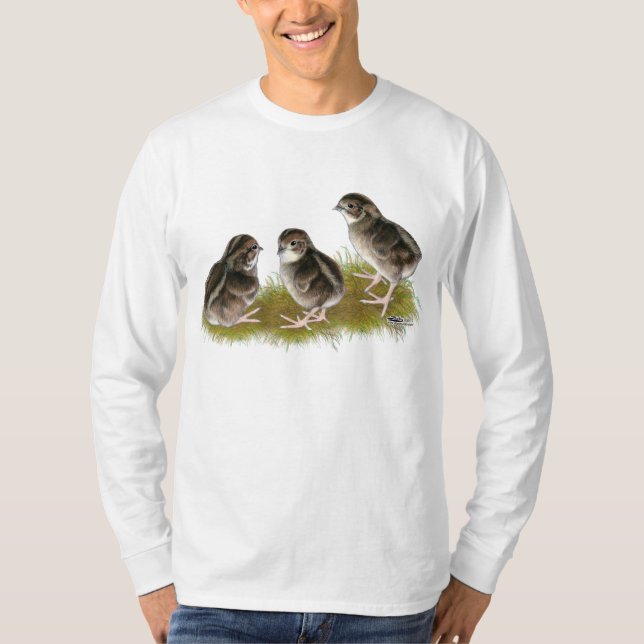 T-shirt Pintinhos Coturnix Quail (Frente)