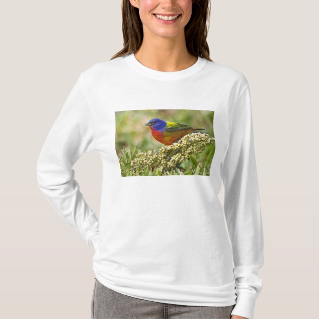 T-shirt Pintor (Frente)