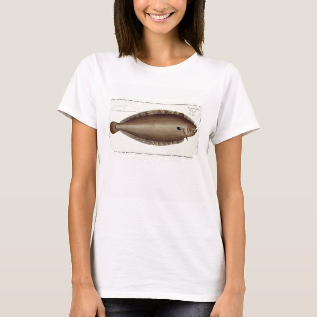 T-shirt Placa XLV de Dover Sole (Solea Solaea) de Ichtiol (Frente)