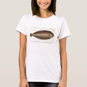 T-shirt Placa XLV do linguado (Solea Solaea) 'de Ichthyol