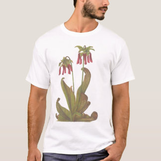 T-shirt Planta carnívora - psittacina do Sarracenia