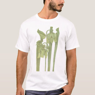 T-shirt Planta Carnívora - Sarracenia flava