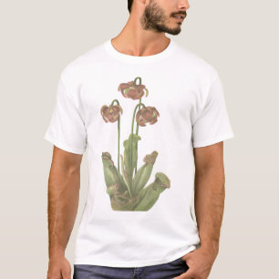 T-shirt Planta Carnívora - Sarracenia purpurea