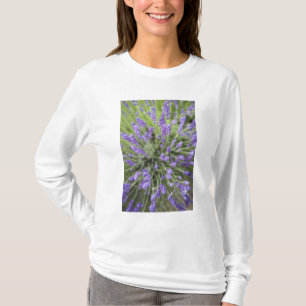 T-shirt Plantas de lavanda