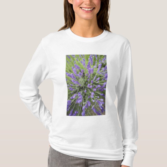 T-shirt Plantas de lavanda (Frente)