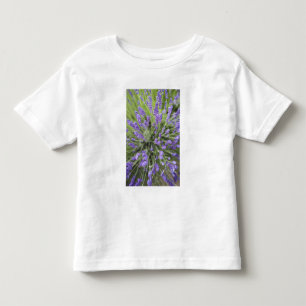 T-shirt Plantas de lavanda