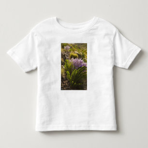 T-shirt plantas do deserto de Chihuahuan em flor