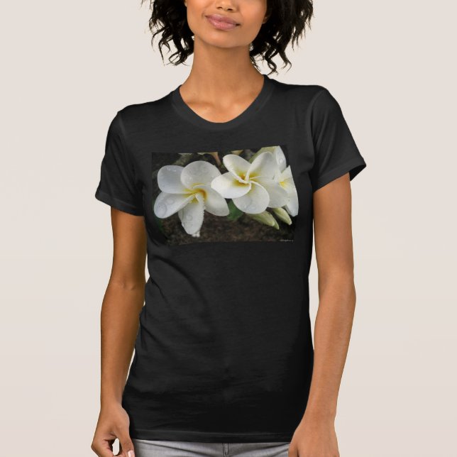 T-shirt Plumeria5 (Frente)