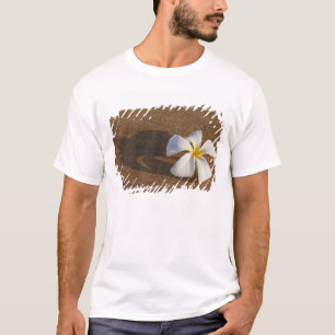 T-shirt Plumeria em praia arenosa, Maui, Havaí, EUA