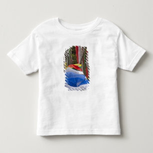 T-shirt Pólos de bandeiras de oração na montanha, Yotongla