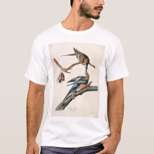 T-shirt Pombo de passageiro