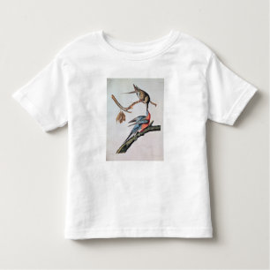 T-shirt Pombo de passageiro, 'dos pássaros de America
