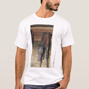 T-shirt Pônei/Cavalo