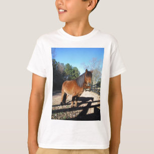T-shirt Pônei marrom céu turquesa