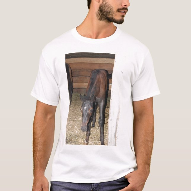 T-shirt Pôneo/Cavalo (Frente)