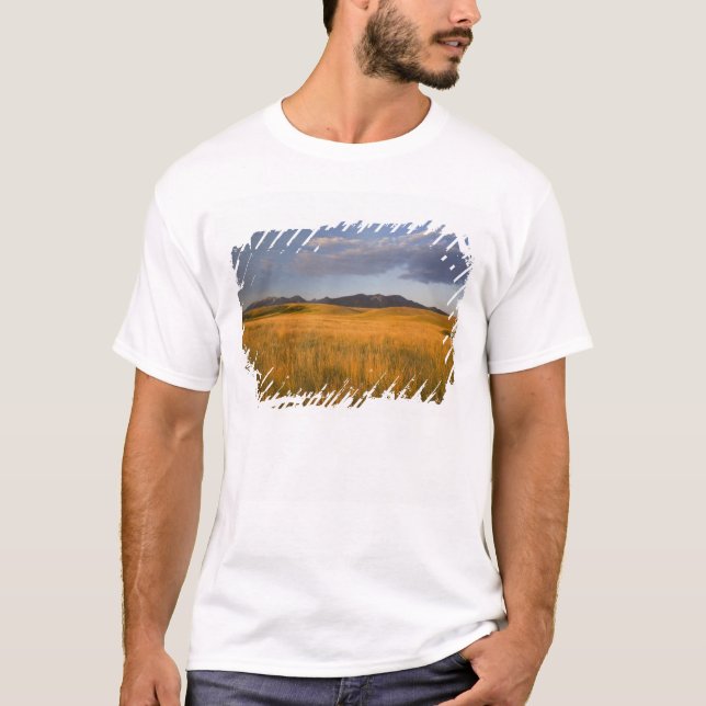T-shirt Pradarias nas encostas dos (Frente)