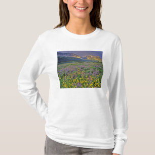 T-shirt Prado de flores silvestres no Many glacier