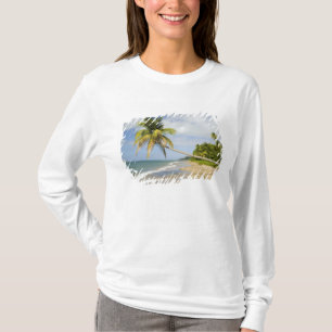 T-shirt Praia Coconut Grove na Baía de Cades, com St. 2