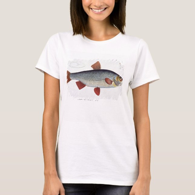 T-shirt Prata de barata (Cyprinus Rutilis) II da Iquitolog (Frente)