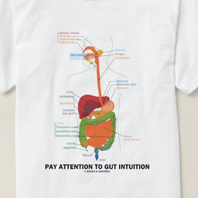 T-shirt Preste Atenção À Intuição De Gut (Humor Anatômico) (Digestive system attitude advice tee!)