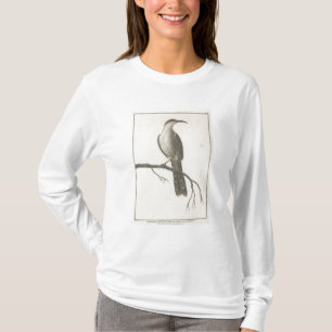 T-shirt Promerops ou comedor de abelha de Califórnia