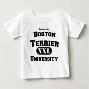 T-shirt Propriedade da Universidade de Boston Terrier