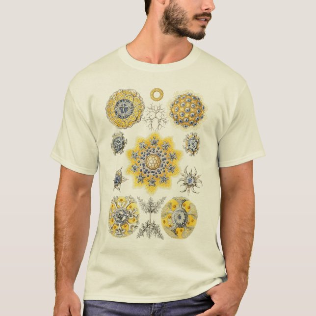 T-shirt Protozoários (Frente)