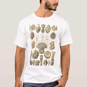 T-shirt Protozoários