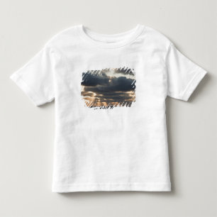 T-shirt Provincetown, Massachusetts
