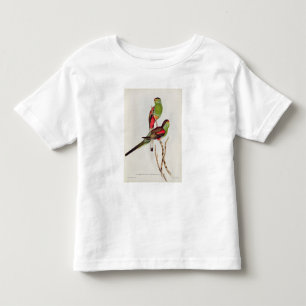 T-shirt Psephotus Pulcherrimus