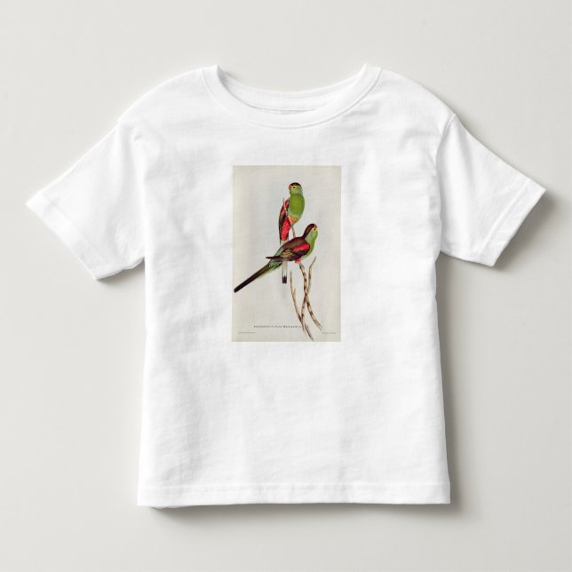 T-shirt Psephotus Pulcherrimus (Frente)