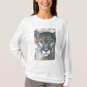 T-shirt Puma, leão-da-montanha, pantera-da-flórida, Puma