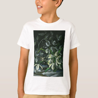 T-shirt Quedas de neve à noite