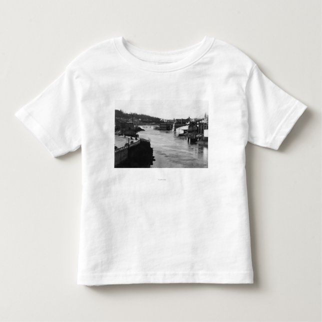 T-shirt Quedas de Willamette e cidade de Oregon dos (Frente)