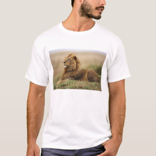 T-shirt Quênia, Masai Mara   Mano Lion