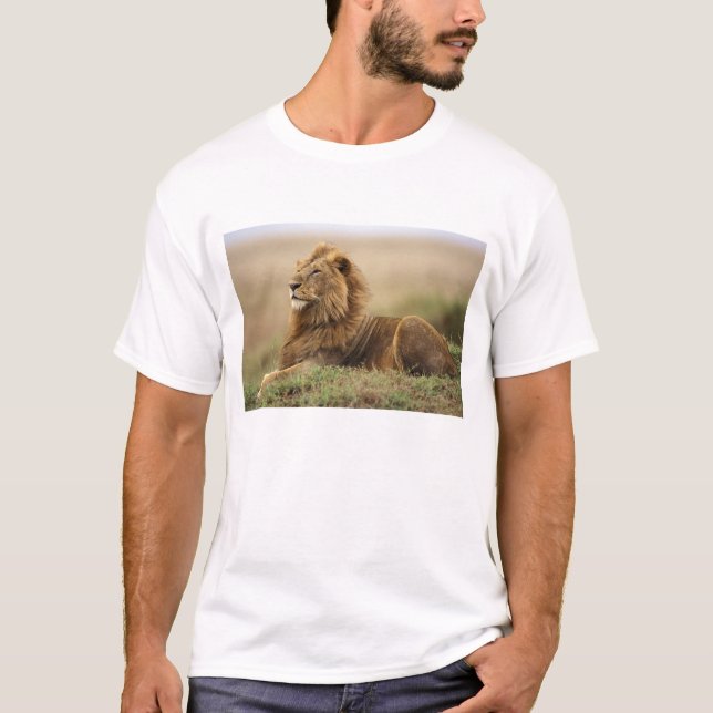 T-shirt Quênia, Masai Mara | Mano Lion (Frente)