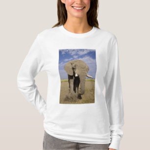 T-shirt Quênia: Parque Nacional de Amboseli, elefante mach