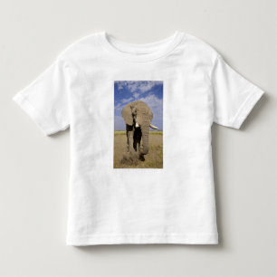 T-shirt Quênia: Parque Nacional de Amboseli, elefante mach