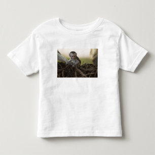 T-shirt Quênia, Reserva de Caça Samburu. Macaco Vervet
