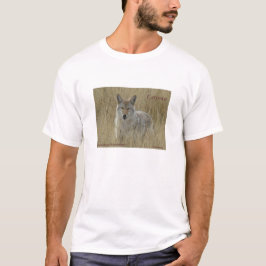 T-shirt R2 Coyote em Grama Alta