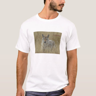 T-shirt R2 Coyote em Grama Alta