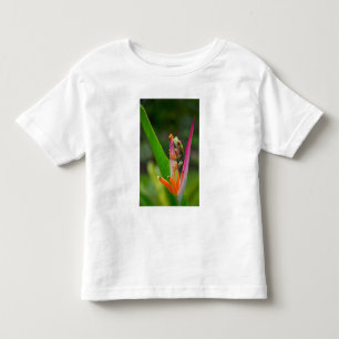 T-shirt Rã-arbórea-de-olho-vermelho, Costa Rica