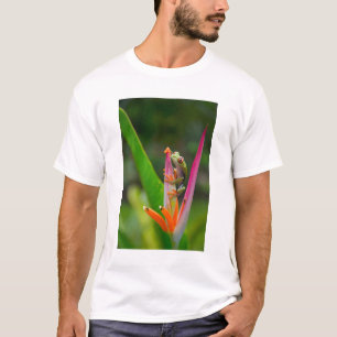 T-shirt Rã-arbórea-de-olho-vermelho, Costa Rica