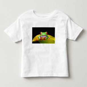 T-shirt Rã-arbórea-de-olhos-vermelhos, Agalychinis callidr